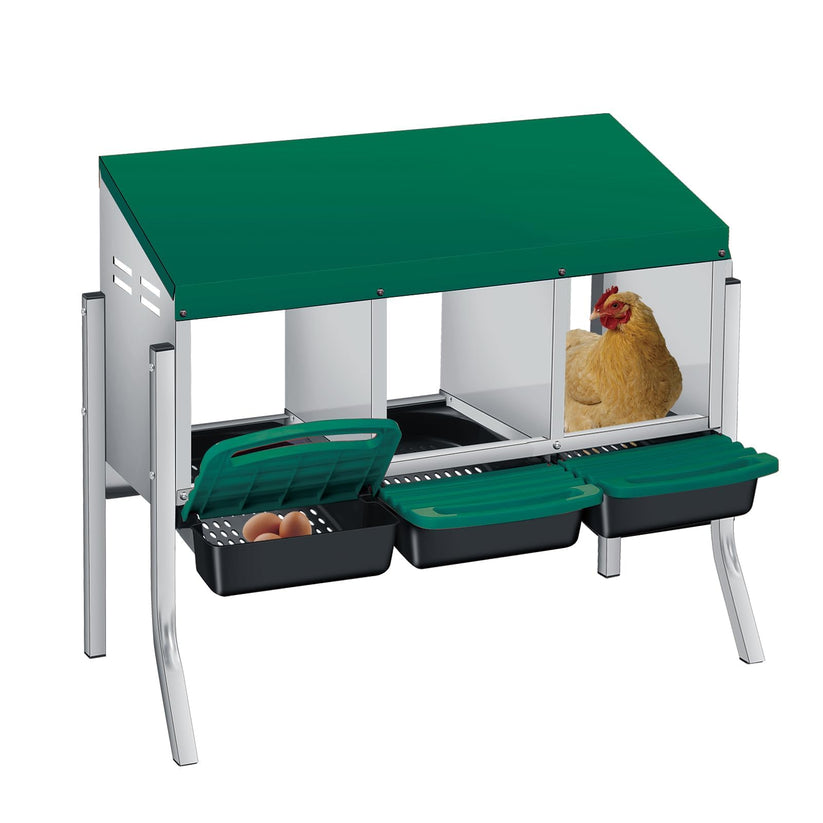 Nichoir GARVEE pour poules avec système de collecte des œufs